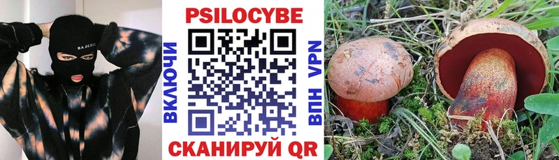 купить   Бородино  Псилоцибиновые грибы мицелий 